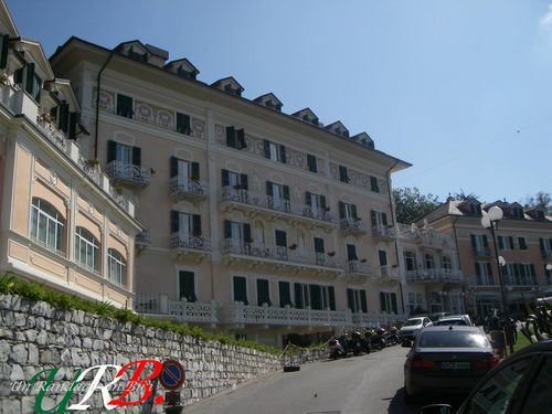 immagine 11