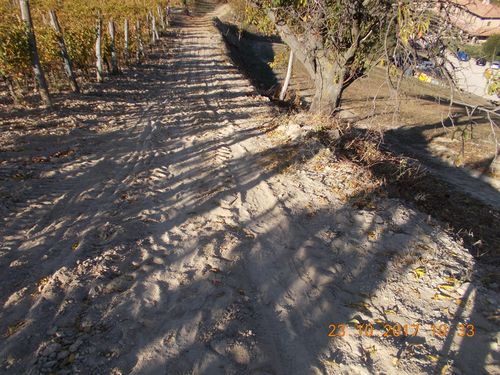 rid 2017-10-23-big_bench_hunter_garmin_vuole_tornare_a_taiwan 8