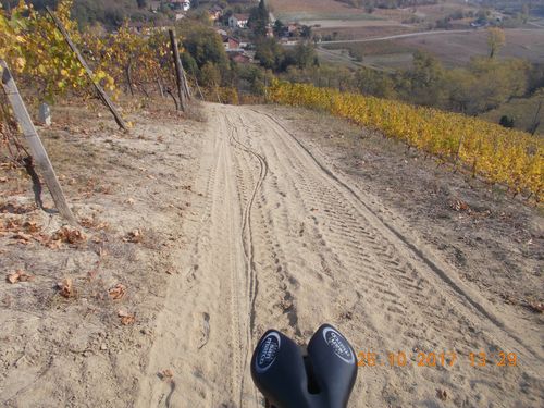 rid 2017-10-25-big_bench_hunter_monferrato_is_wonderfull 11