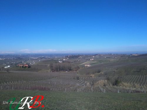 immagine 02