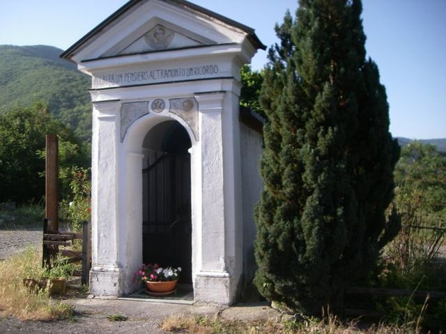 Galleria immagini