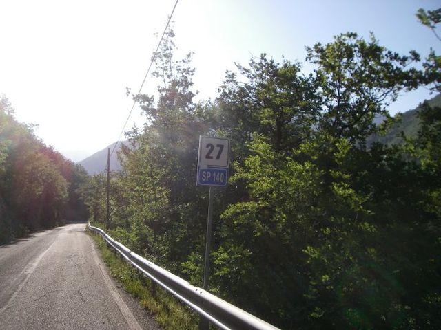 Galleria immagini