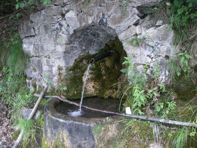 Galleria immagini