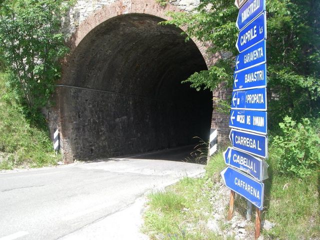 Galleria immagini