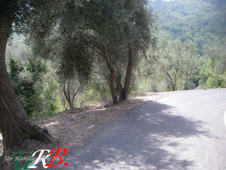 2011 08 13 quanta strada per sti sandali 3