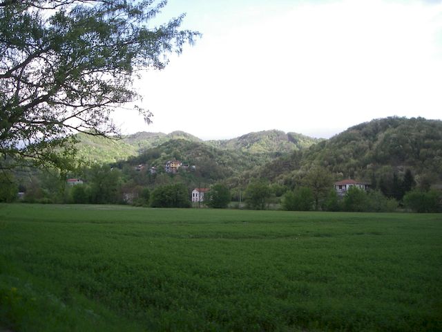 Galleria immagini