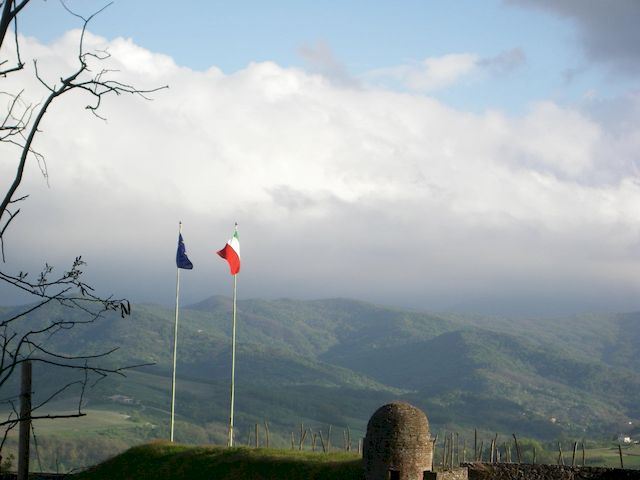 Galleria immagini