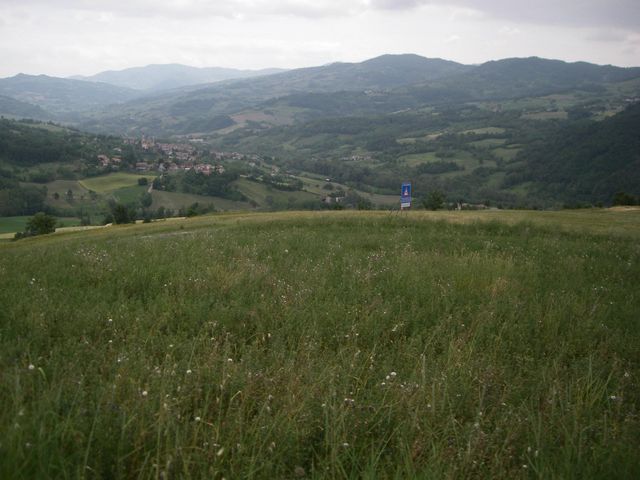 Galleria immagini