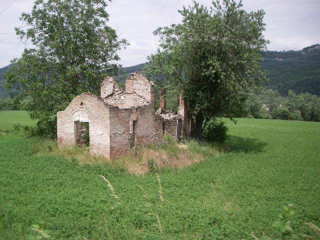 Galleria immagini