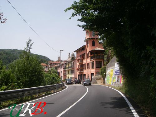 immagine 14