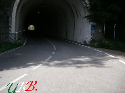 immagine 15