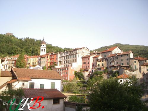 immagine 02