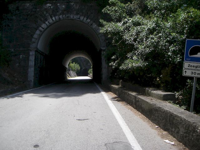 Galleria immagini