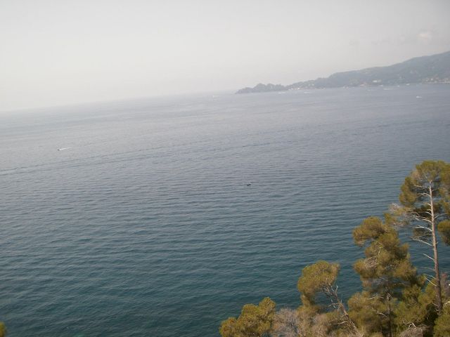 Galleria immagini