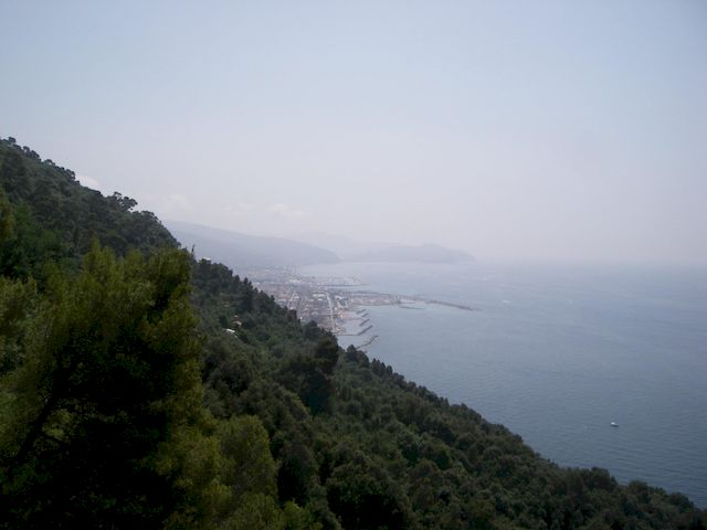 Galleria immagini