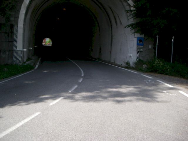 Galleria immagini