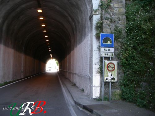 immagine 07