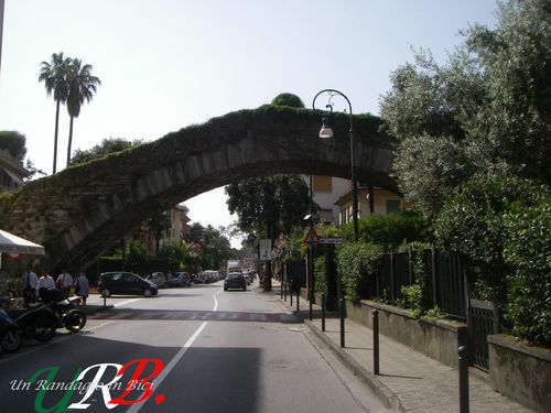 immagine 08