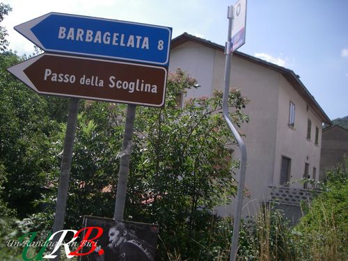 immagine 13