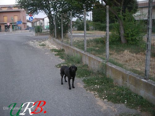 immagine 02