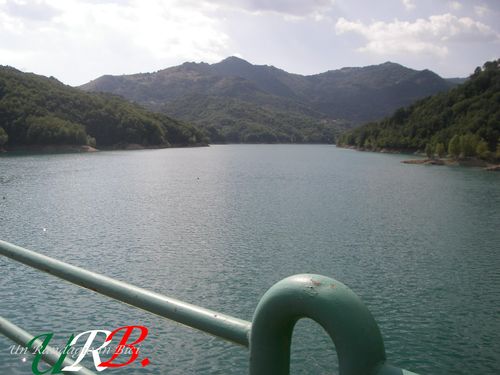 immagine 21