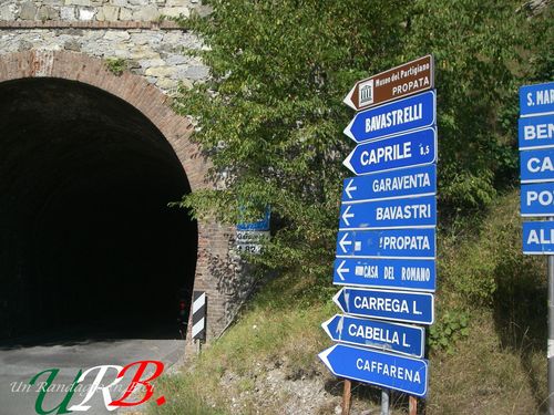immagine 25