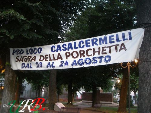 immagine 03