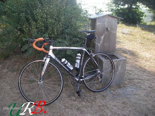 immagine 06