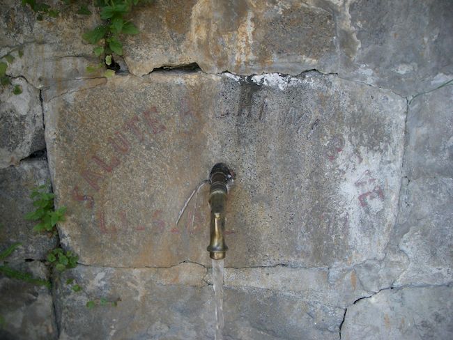 Galleria immagini