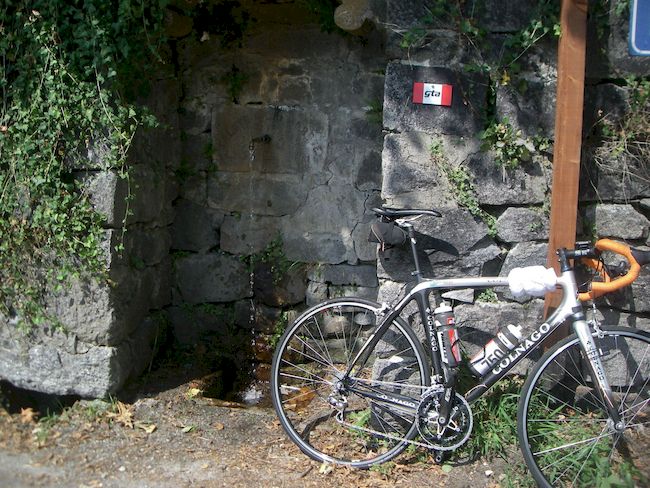 Galleria immagini