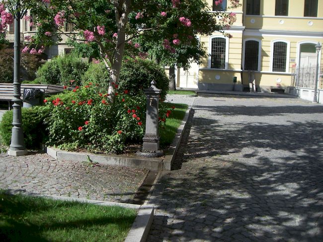 Galleria immagini