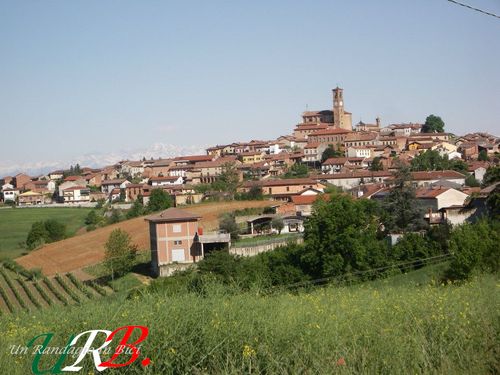 immagine 02