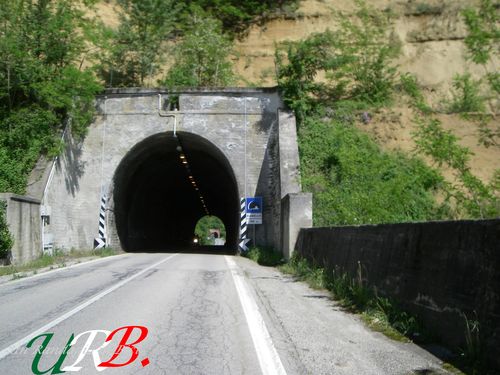 immagine 09