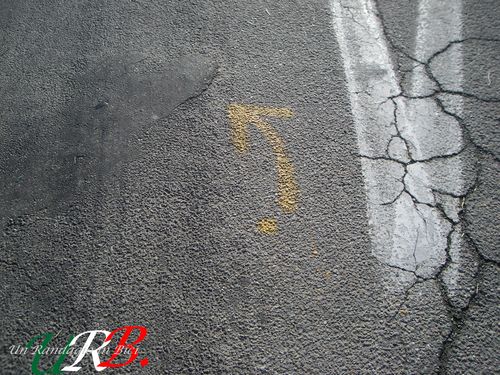 immagine 10