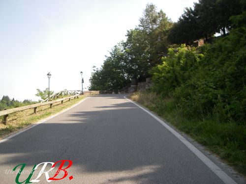 immagine 02