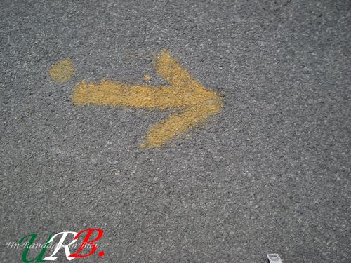 immagine 06