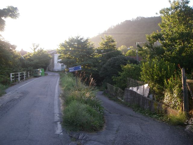 Galleria immagini