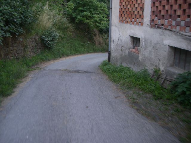 Galleria immagini