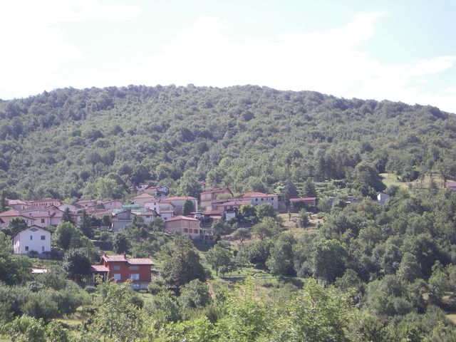 Galleria immagini