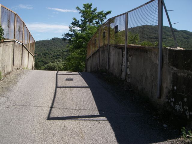 Galleria immagini