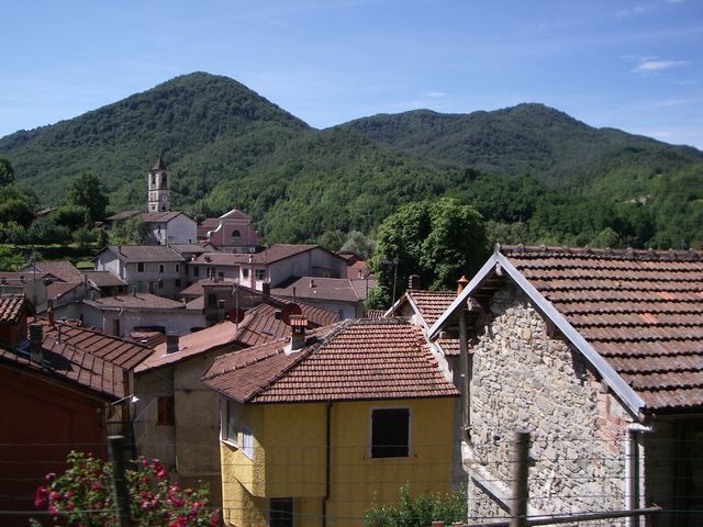 Galleria immagini