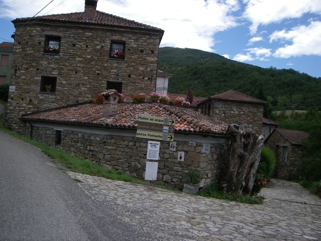 Galleria immagini