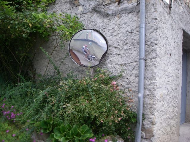 Galleria immagini