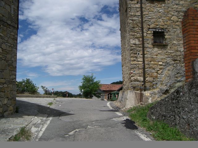 Galleria immagini