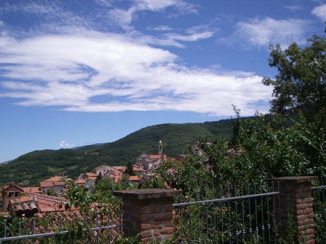 Galleria immagini