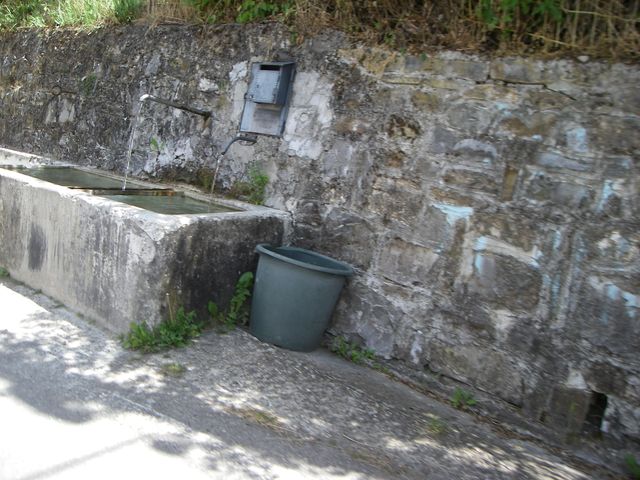 Galleria immagini