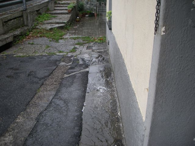 Galleria immagini