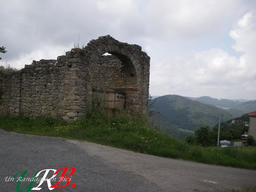 immagine 06