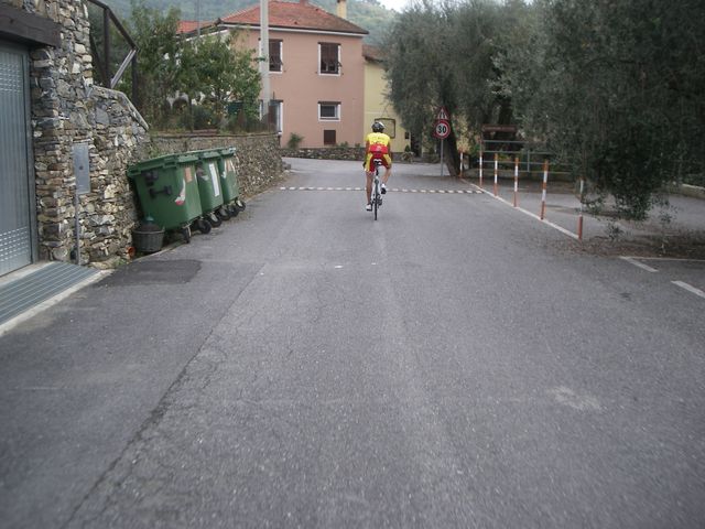Galleria immagini