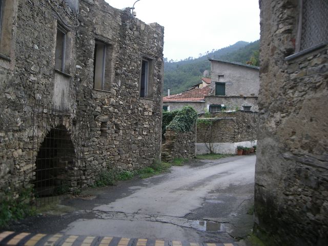 Galleria immagini